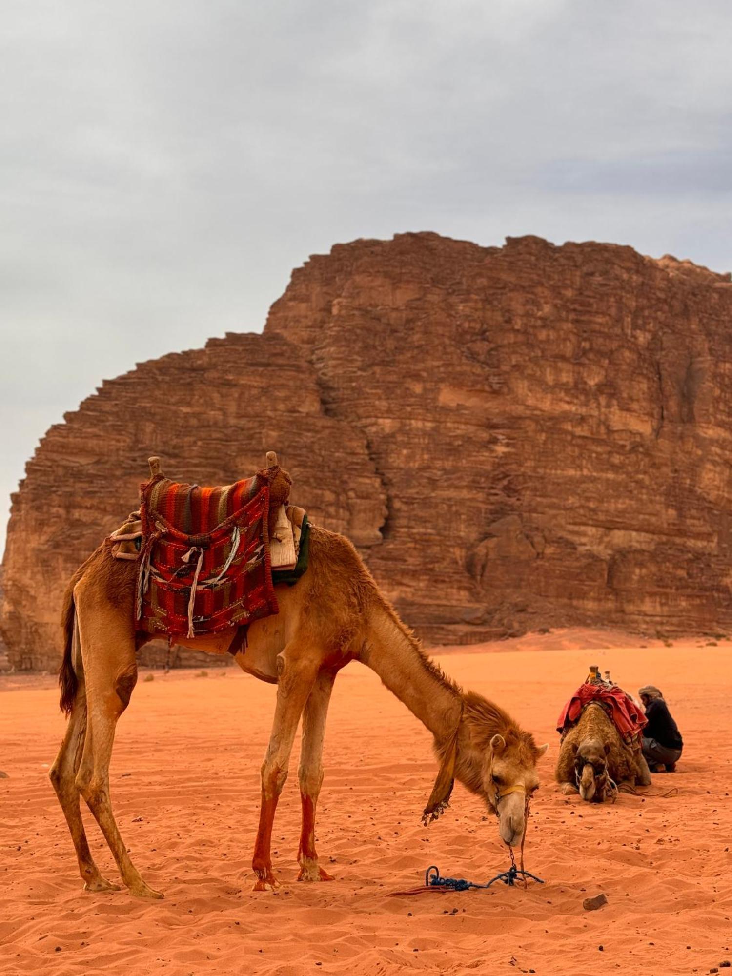 Rum Maria Luxury Camp & Bubble Rooms Wadi Rum Exterior photo
