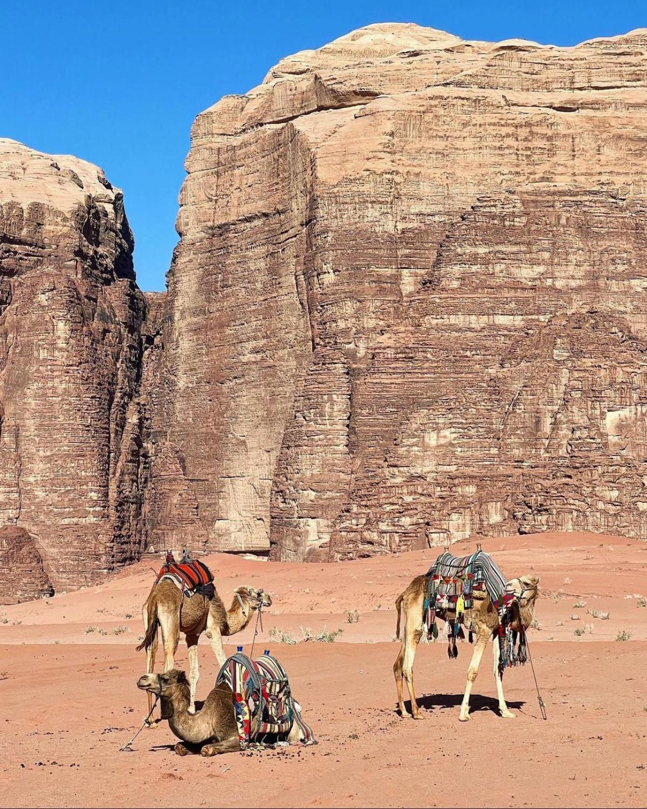 Rum Maria Luxury Camp & Bubble Rooms Wadi Rum Exterior photo